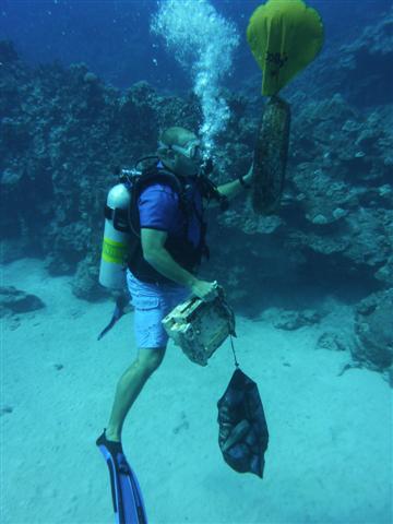 Clean up diving Rarotonga
