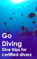 Go Diving