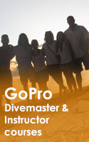 Go Pro Instructor Courses