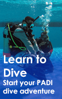 PADI learn to dive courses
