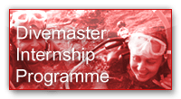 Divemaster Internships in the South Pacific