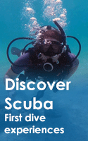 Discover Scuba Diving