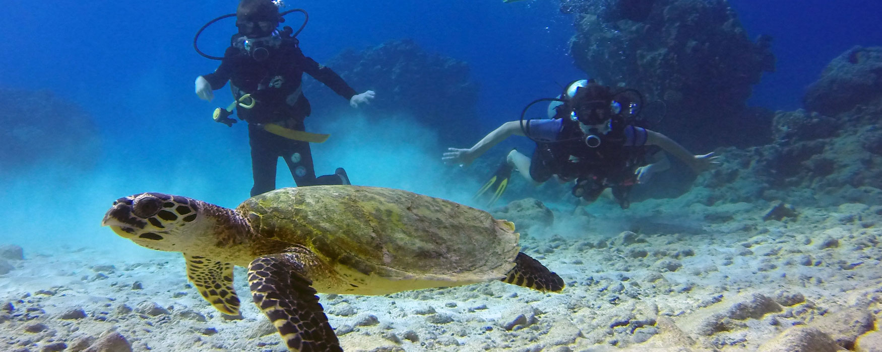 The most awesome dive shop in the world